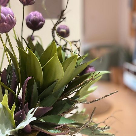 Apartmán Petite Fleur Preveza Exteriér fotografie