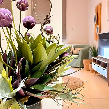 Apartmán Petite Fleur Preveza Exteriér fotografie