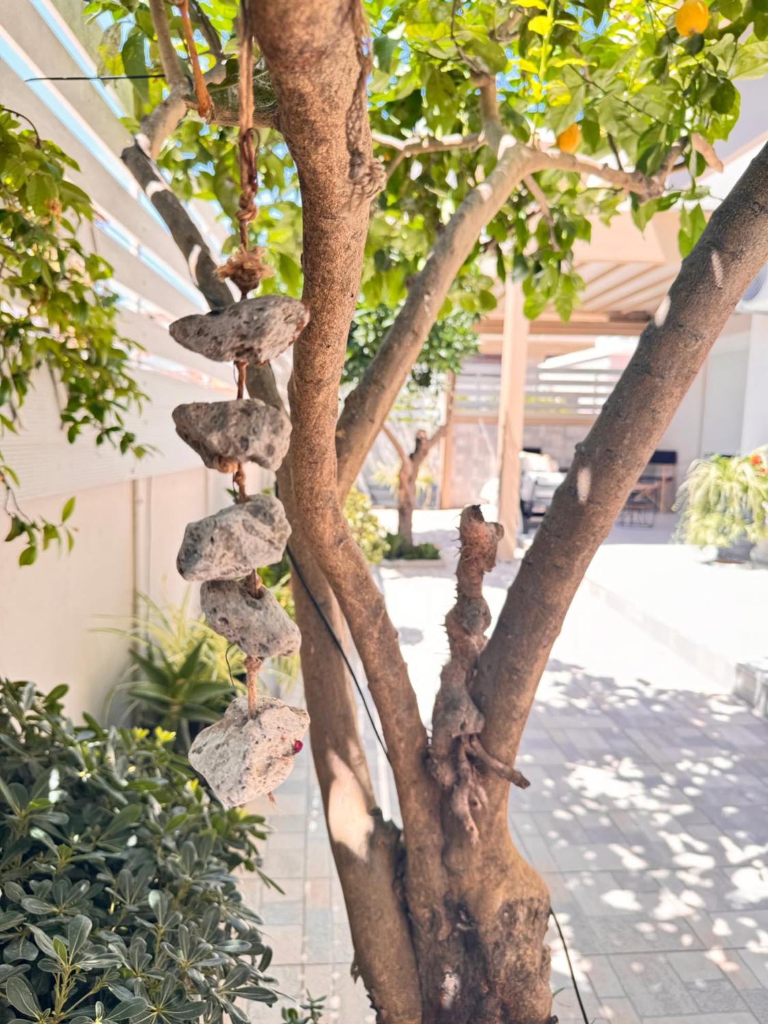 Apartmán Petite Fleur Preveza Exteriér fotografie